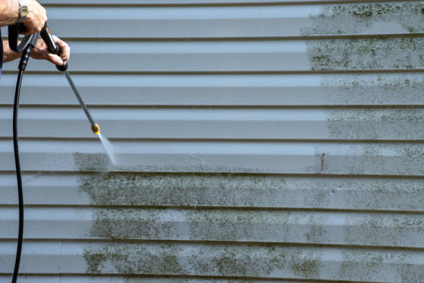 Best Residential Vinyl Siding Installation  in San Jose, CA